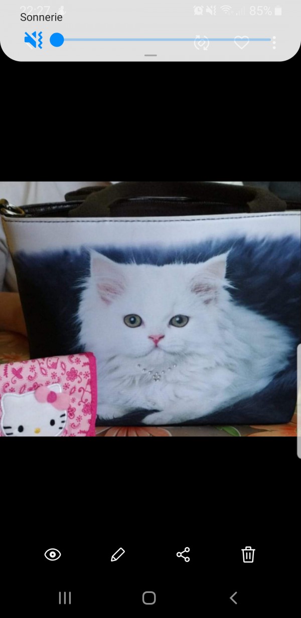 Vole du sac a main avec papier de ma sœur