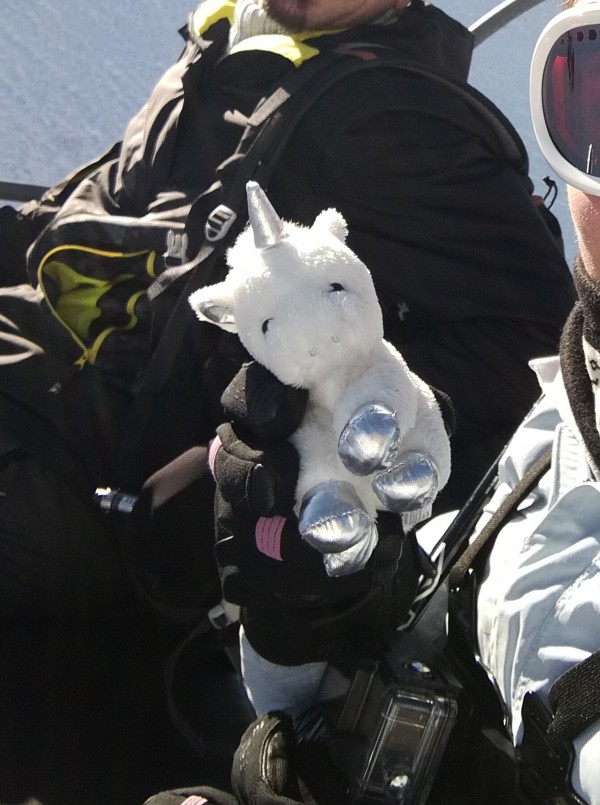 Perdu petite peluche licorne blanche