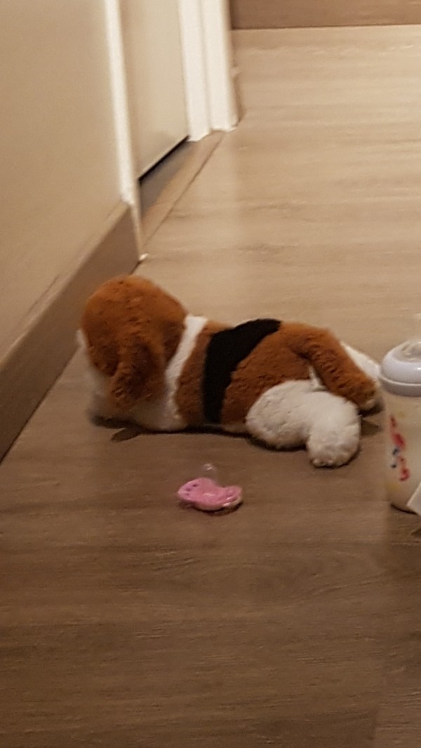 Doudou chien perdu a Argenteuil