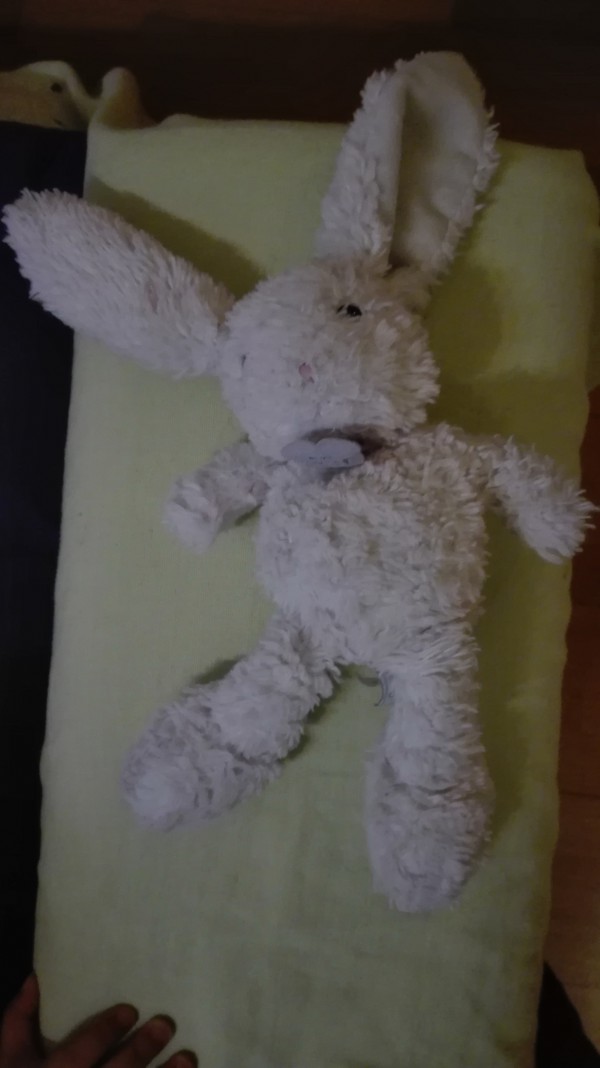 Perdu DOUDOU LAPIN ROSE, CASTRES, TARN, AUTOUR DE LA MAIRIE