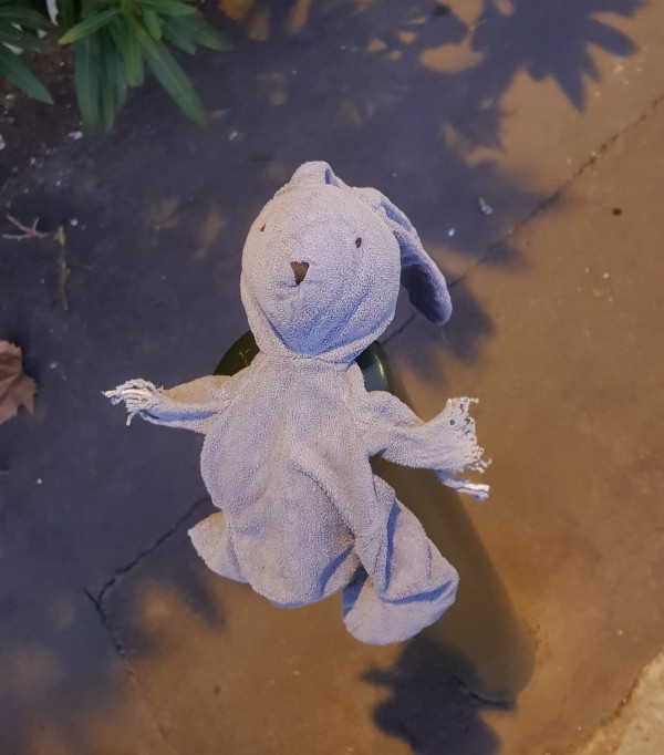 DOUDOU quartier Busca à Toulouse