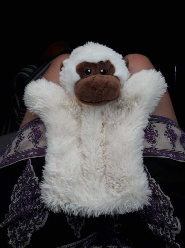 Perdu doudou singe blanc, Montpellier