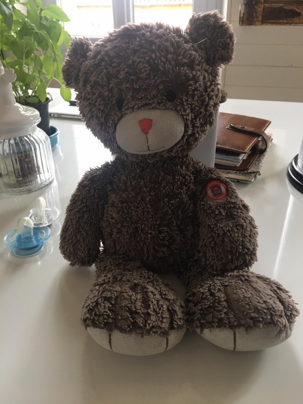 Perdu Ours en peluche Centre ville Toulon