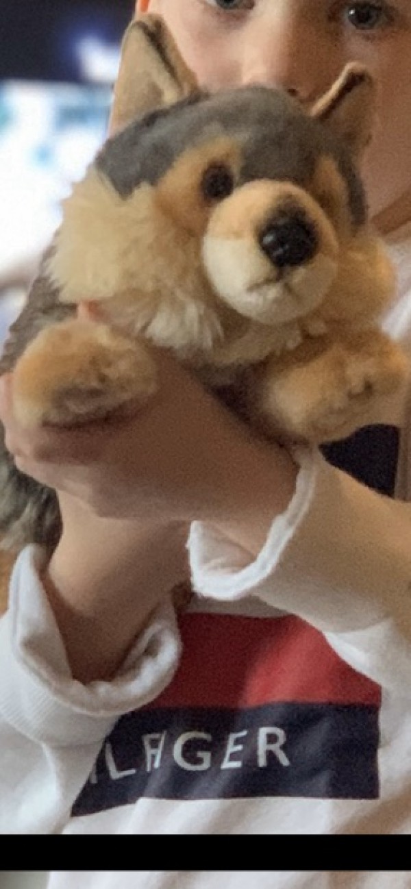 Doudou enfant