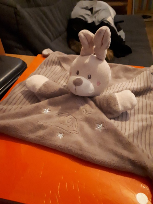Doudou Lapin perdu