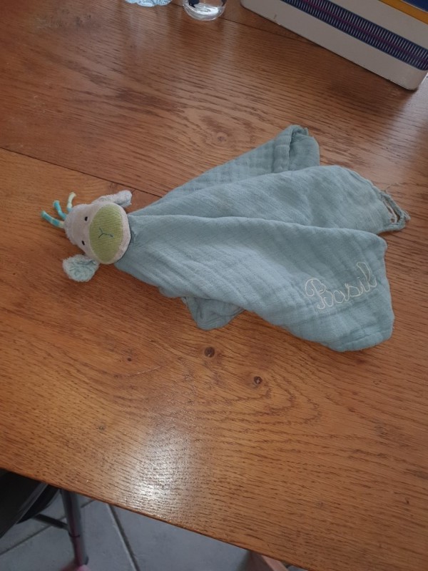 Doudou basil trouvé metro republique villeurbanne