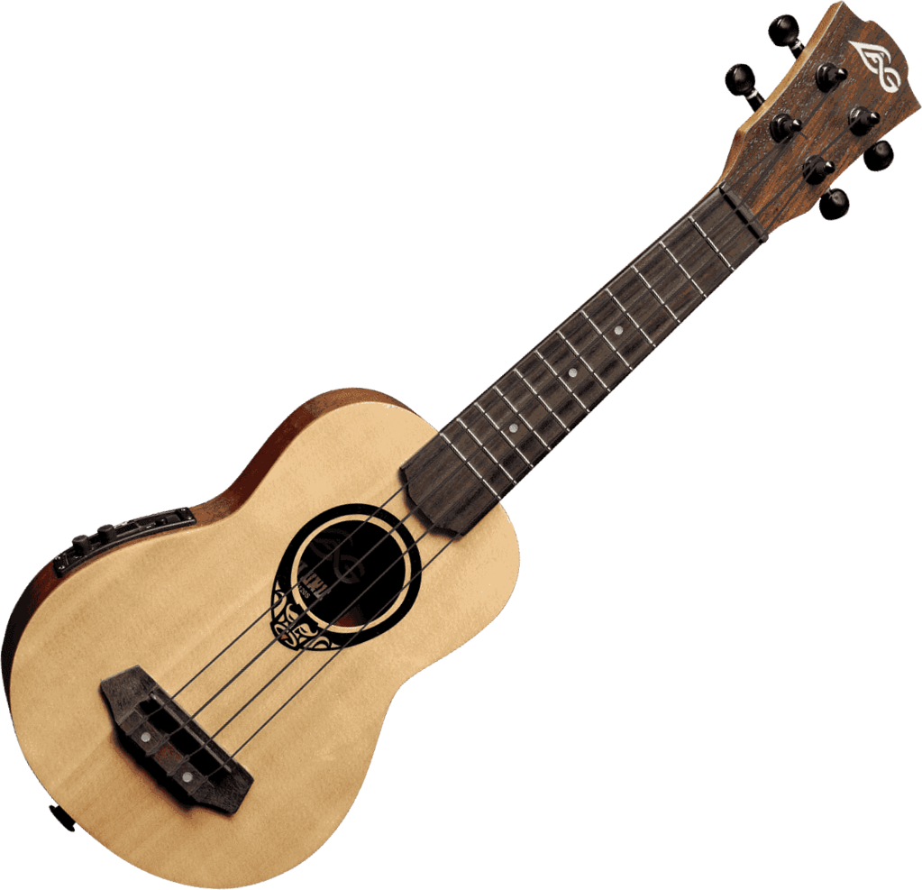 ukulele electric perdu a bordeaux centre