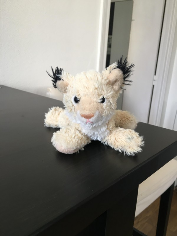 Doudou à Caen proche bibliothèque Alexis de Tocqueville