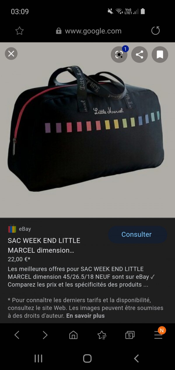 Perdue un sac
