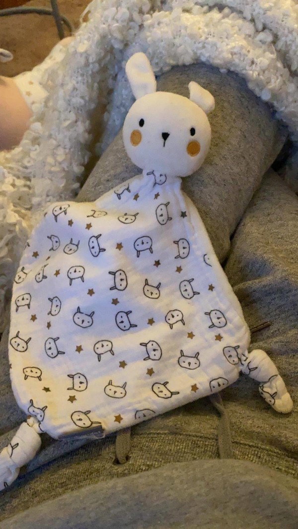 Doudou perdu, près de la rue du Maréchal Foch à Strasbourg