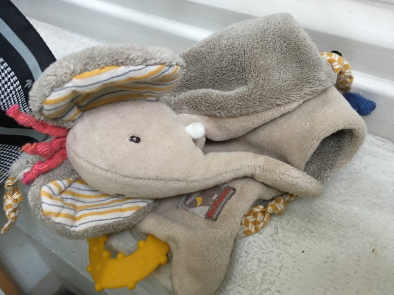 Doudou trouvé rue Auguste Comte à Lyon le 9 mai
