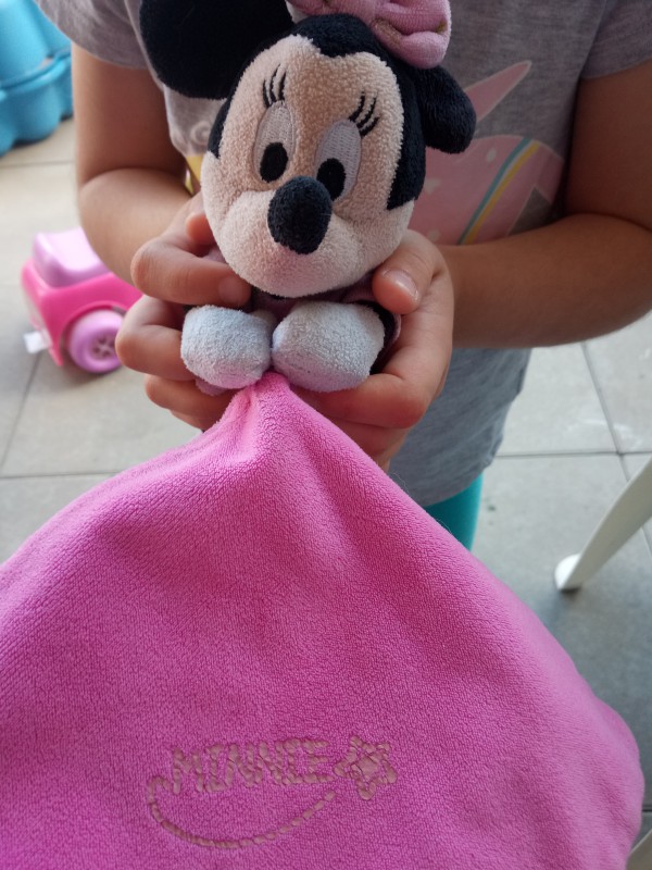 Doudou Minnie au parc de cebazat