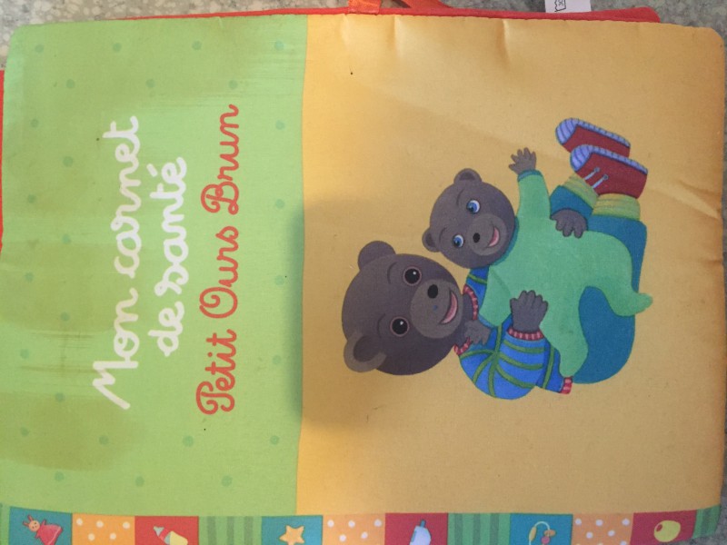 Perdu Carnet de santé petit ours brun