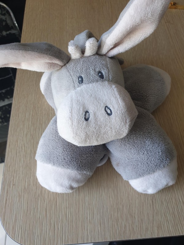 Perdu doudou Ane