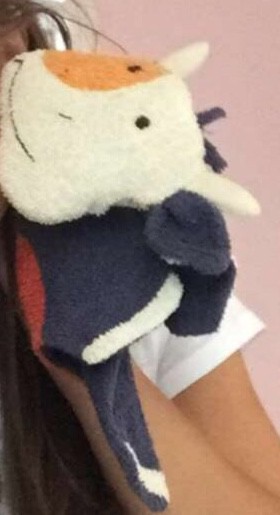Recherche marque de ce doudou vache