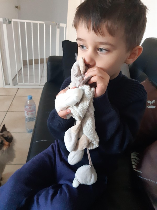 Perdu le doudou de mon fils gifi ou parking l'aigle 61