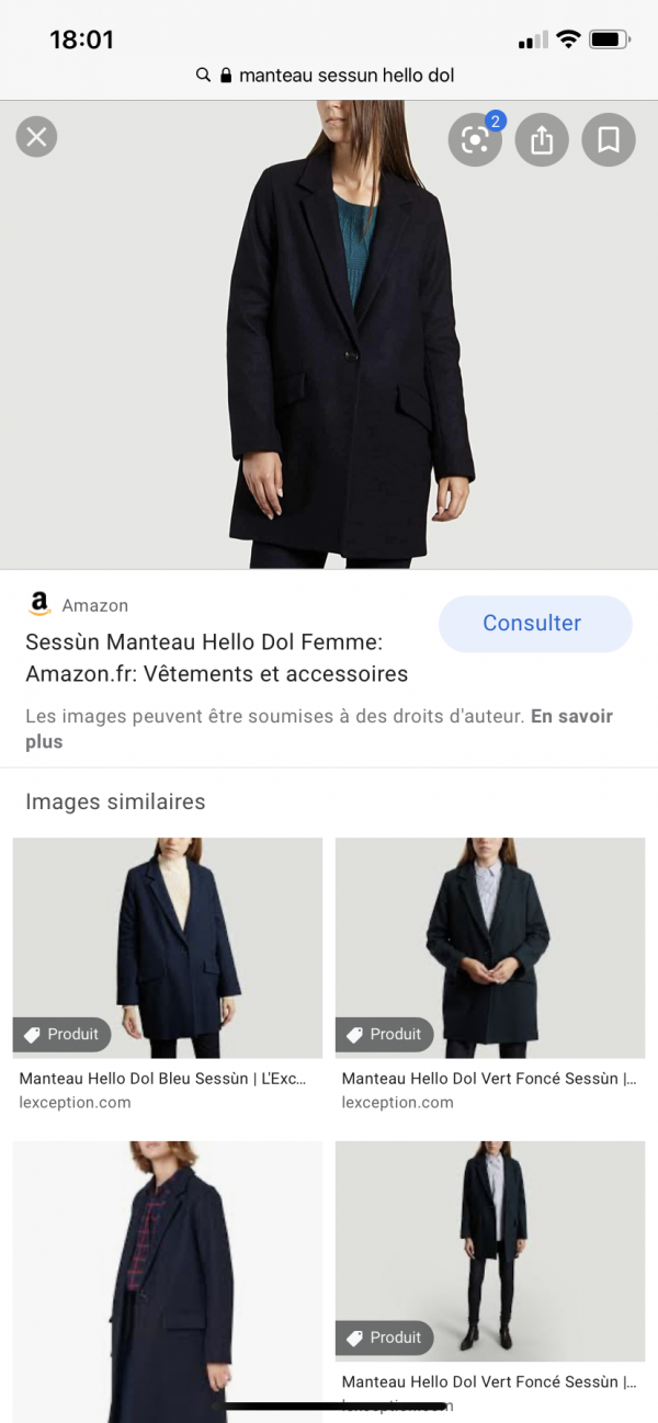 Manteau noire train bordeaux