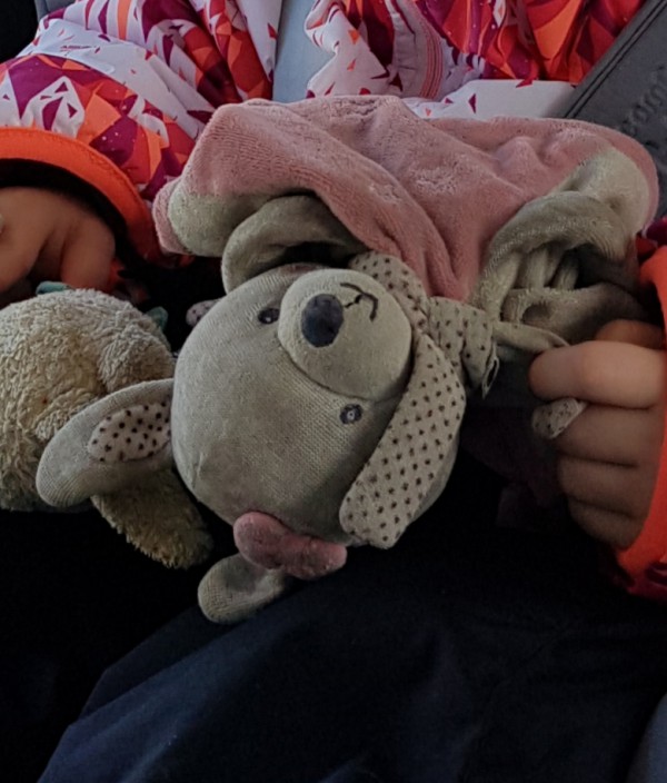 Doudou rose et gris