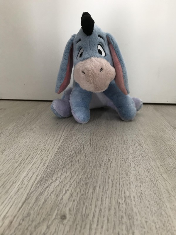 Burriquet perdu
