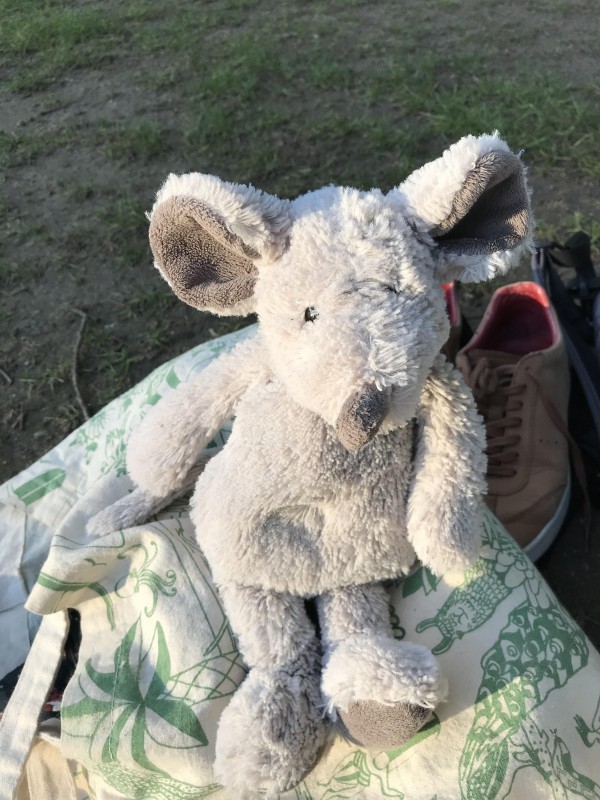 Doudou Souris grise trouvé à annecy Le 19 juin 2020