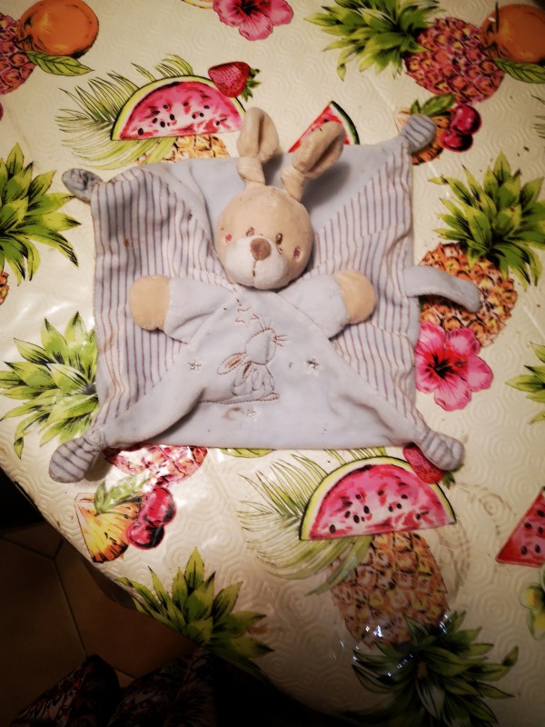 Lapin beige et blanc