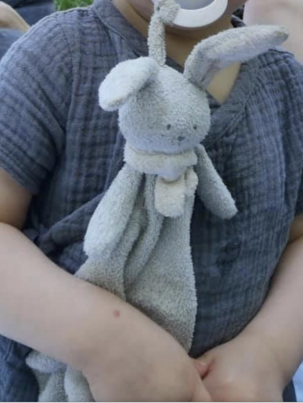 Doudou lapin et attache-tétine