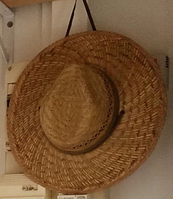 Chapeau oublié dans le TGV Paris-Marseille lundi 13 Juillet