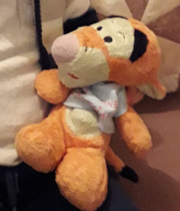 Perdu doudou Tigrou avec tee-shirt bleu aire de repos Trementines (49)