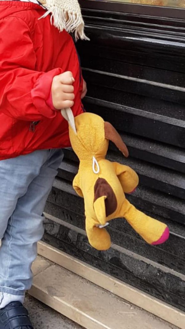 Doudou chien perdu