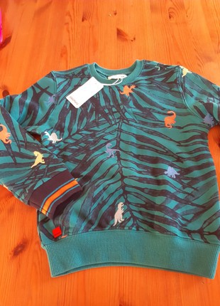 Perdu pull dinosaures trébeurden