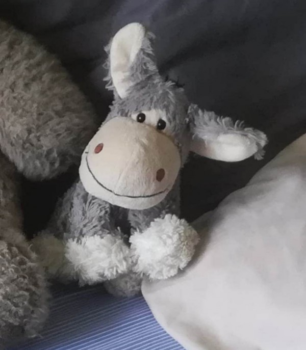Perdu doudou âne, Chazelles sur Lyon ou Montrond les bains