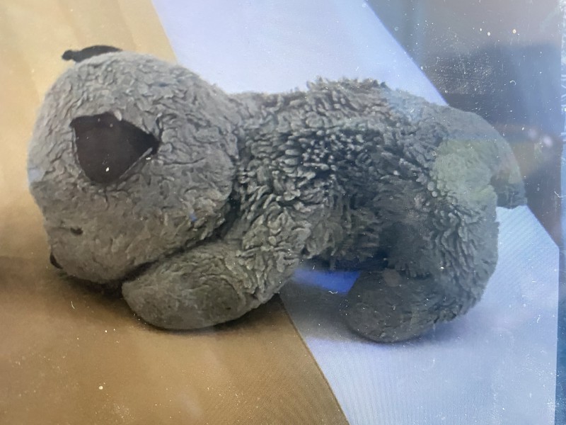 Doudou chien gros porticcio