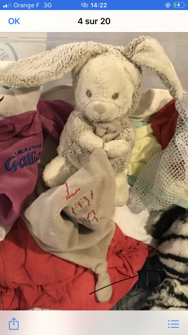 Perdu Lapin blanc et gris Aire Autoroute A10 Gript-Nord