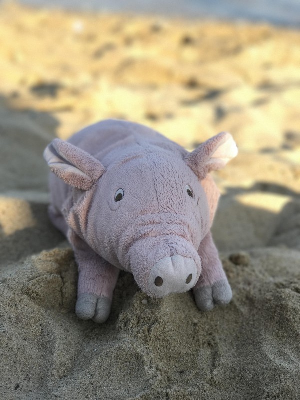 Perdu doudou cochon rose ikea à la Gare Montparnasse de Paris ce jour