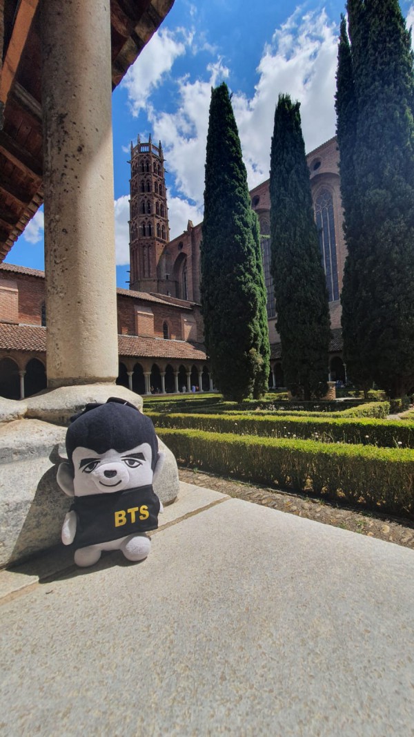 Peluche bts V toulouse