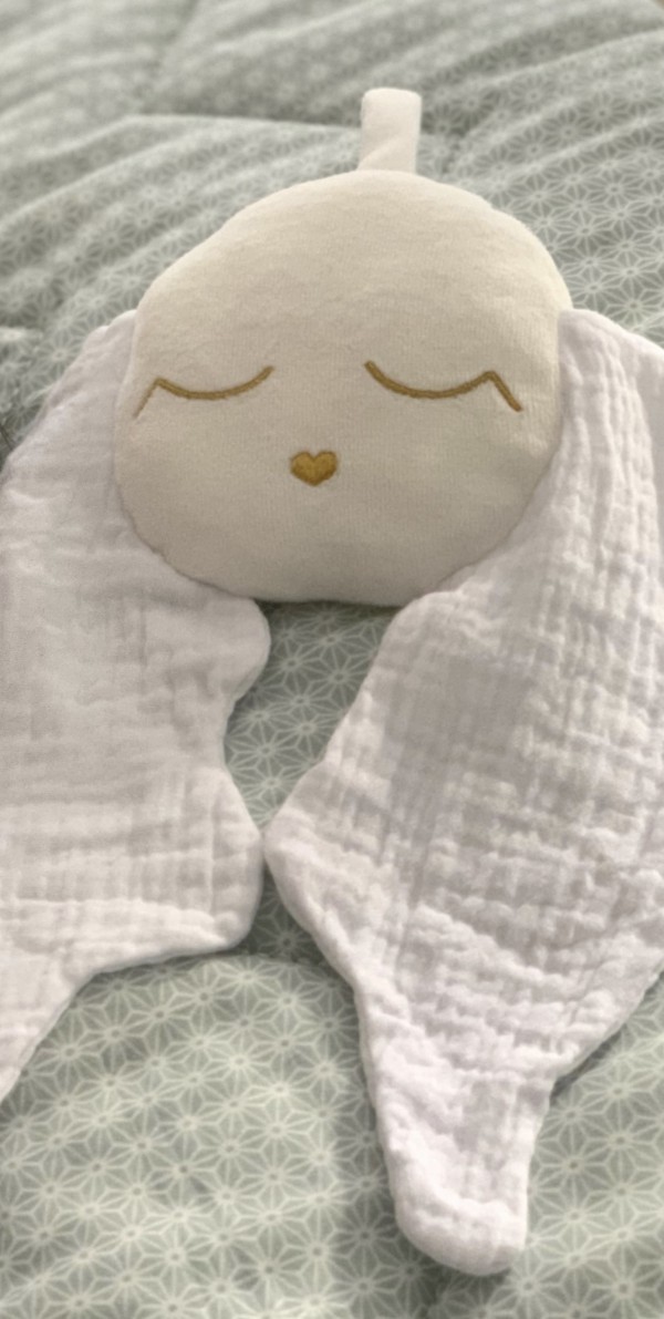 Doudou perdu entre la plage du centre de Bidart et l’école élémentaire de bidart