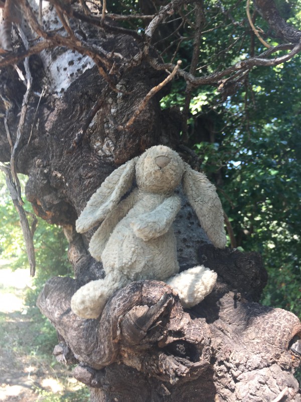 Trouvé doudou lapin