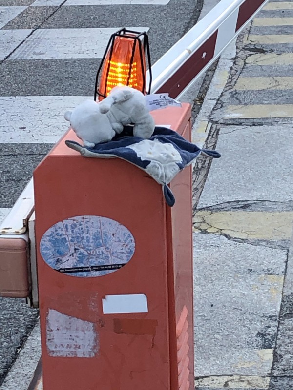 Doudou bleu chat / chien Avec petite couverture
