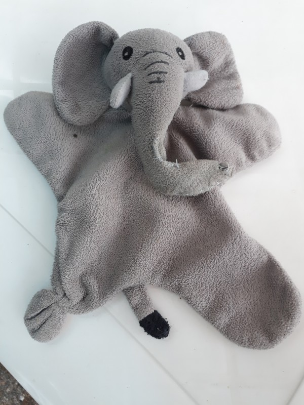 Éléphant gris
