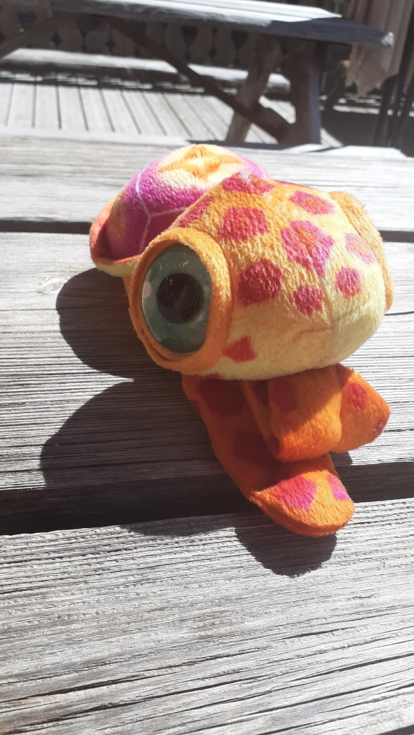 Doudou Tortue