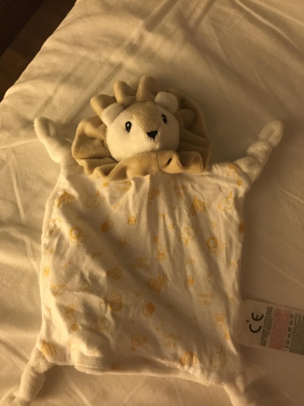 Doudou lion perdu au Sables dOlonne