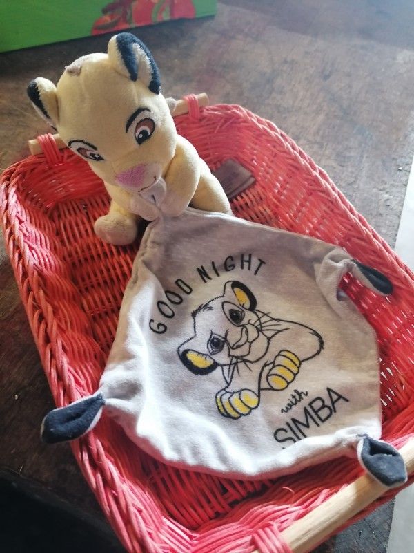 Simba Disney trouvé à Courpière