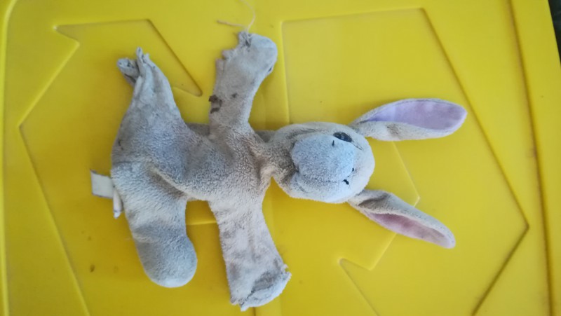 Doudou âne trouvé sur bord de route D938