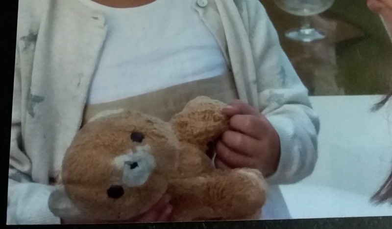 doudou ourson
