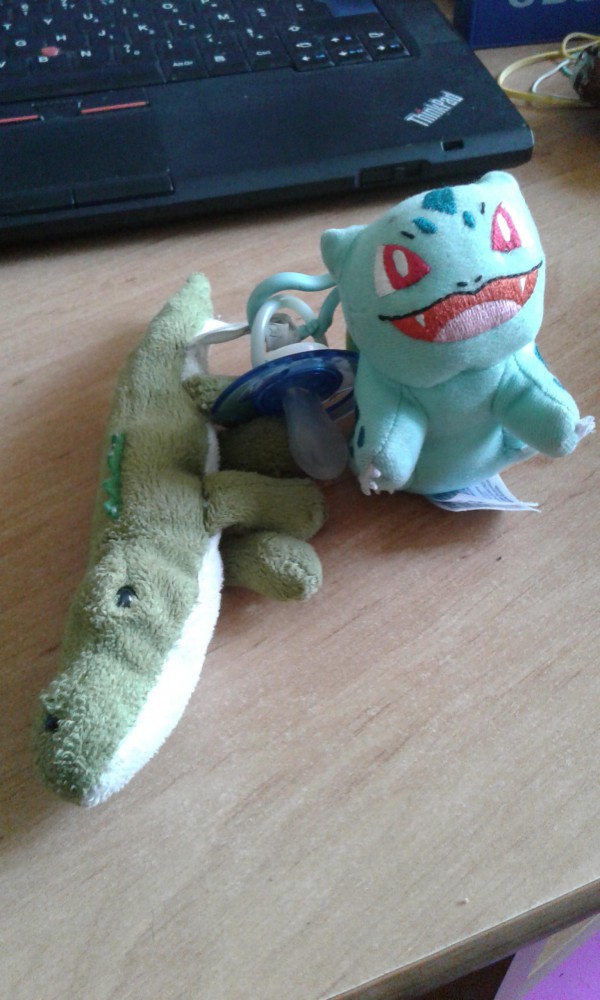 Trouvé DOUDOU Montluçon