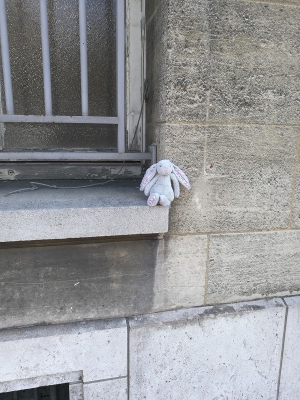 Doudou lapin trouvé rue de la cité. Pose sur fenêtre devant entrée aphp