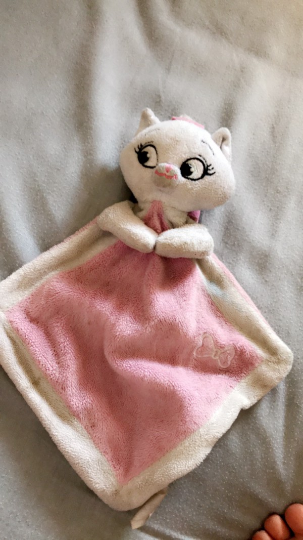 Doudou Marie le chat