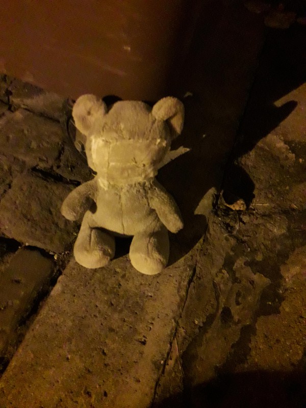 Ours en peluche