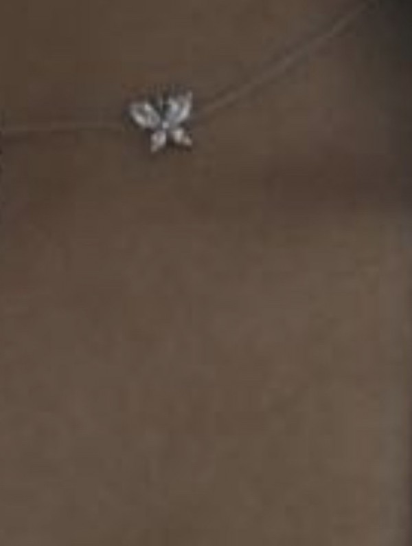 Bracelet en argent avec un papillon en cristal sur Toulouse près d’un an