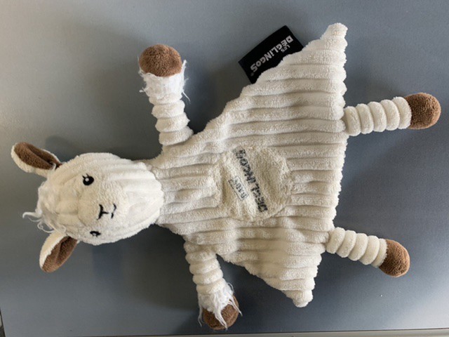 Perdu doudou Déglingos lama blanc Montpellier centre